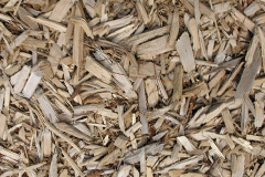 biomass boilers Bedlinog